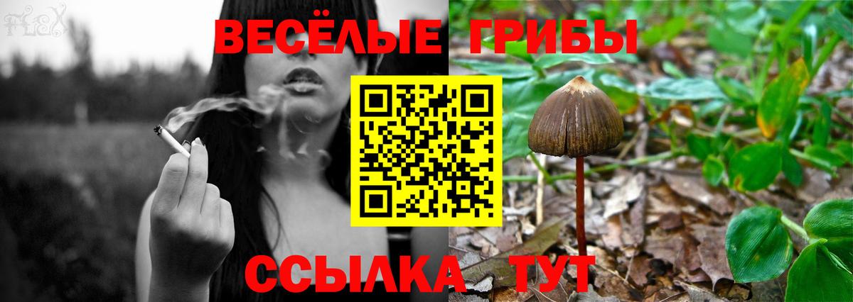 Галлюциногенные грибы мицелий Ангарск