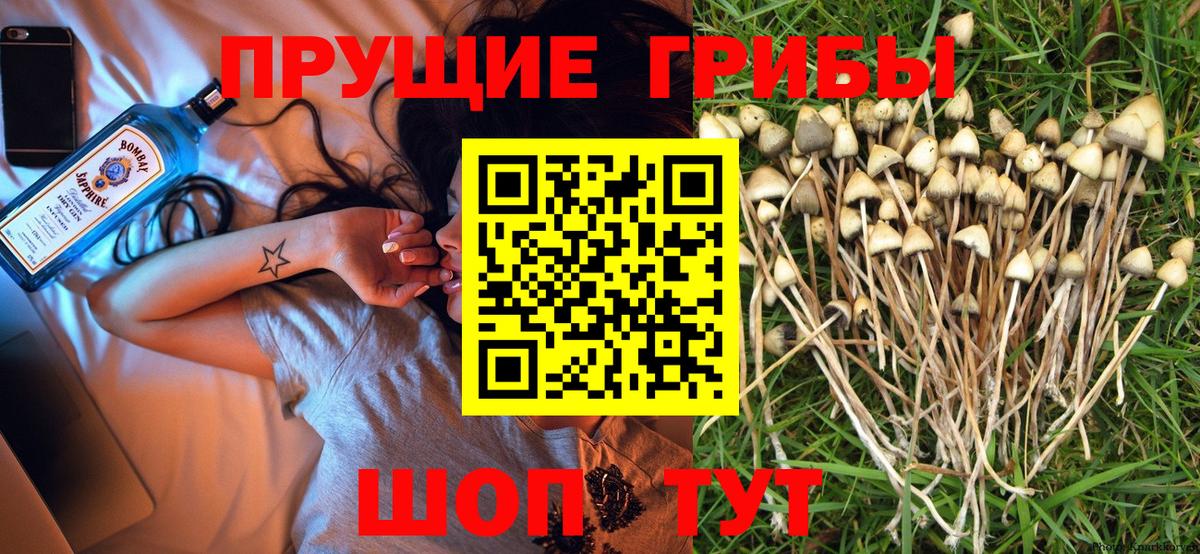 Ангарск  Галлюциногенные грибы Psilocybine cubensis  Вход с VPN  Галлюциногенные грибы Cubensis 
